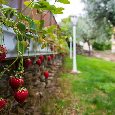 Recanto Transmontano Casa de Férias *