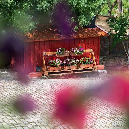 Recanto Transmontano Holiday home Macedo de Cavaleiros