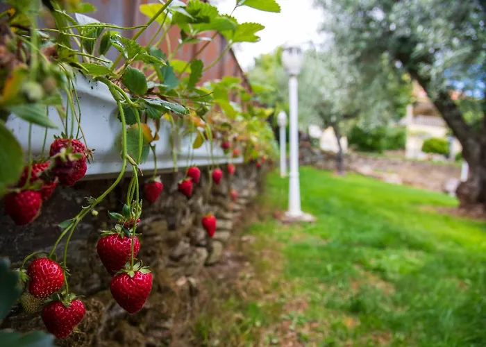 Recanto Transmontano 펜션 *